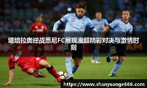 球盟会官方网站